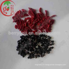 Baies de goji noires organiques Qinghai séchées / baies de goji noires prix